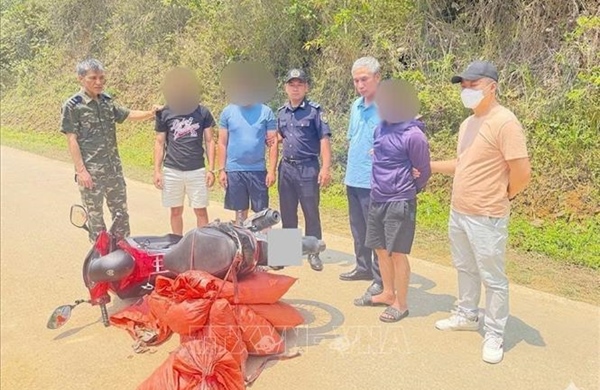 Bắt giữ vụ vận chuyển 59,2 kg nghi là vảy tê tê