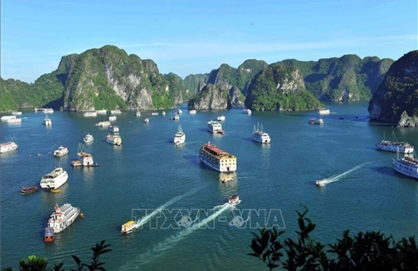 Quảng Ninh triển khai tổ y tế thường trực trên vịnh di sản 