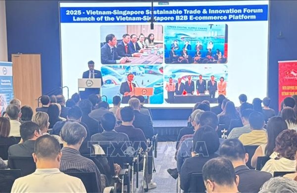 Việt Nam - Singapore thúc đẩy hợp tác kinh tế xanh và thương mại bền vững