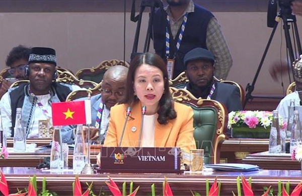 Việt Nam sẵn sàng thúc đẩy kết nối BRICS với khu vực châu Á - Thái Bình Dương