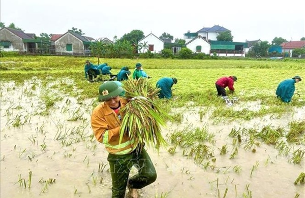 Mưa lớn làm 1 người bị thương và nhiều thiệt hại tại các địa phương