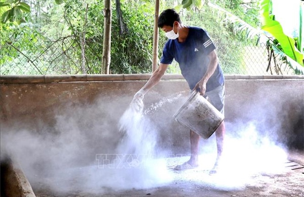 Kế hoạch quốc gia phòng, chống các bệnh Cúm gia cầm, Lở mồm long móng và Dịch tả lợn Châu Phi