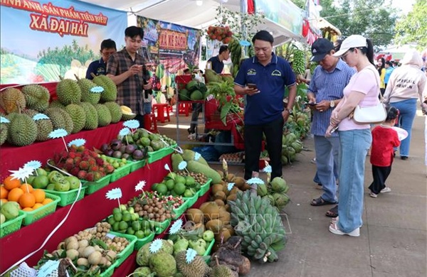Tôn vinh và quảng bá nông sản bản địa qua Ngày hội sông nước miệt vườn