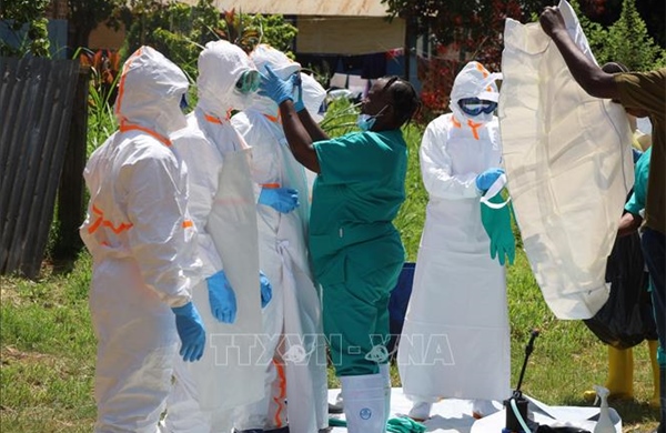 Khoảng 500 ca mắc virus Ebola được xác nhận ở Trung Phi