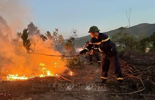 Thanh Hóa đã khống chế hoàn toàn vụ cháy rừng tại phường Hải Bình
