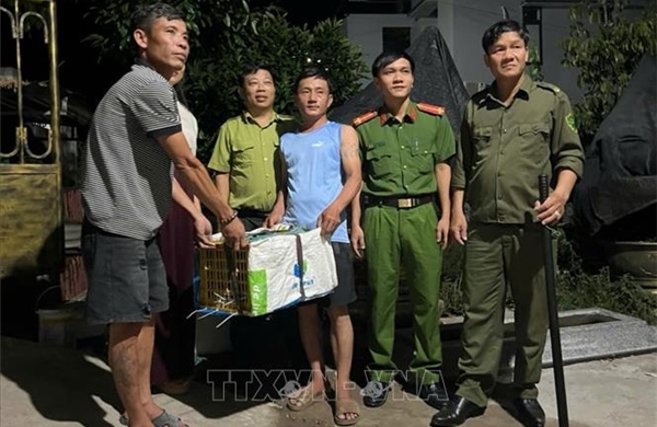 Phát hiện trăn hoang dã bên đường, người dân giao nộp cho các cơ quan chức năng