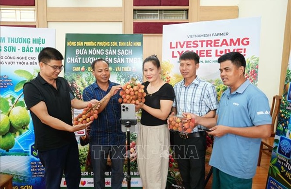  Bắc Ninh tham vọng vào nhóm dẫn đầu cả nước về bán lẻ số