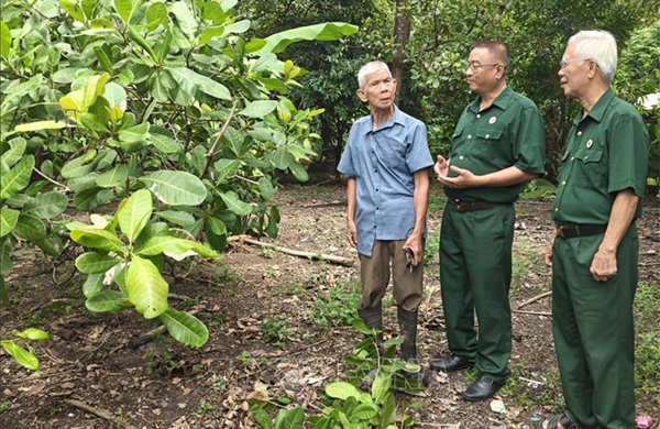 Tỏa sáng phẩm chất cao đẹp của Bộ đội Cụ Hồ trong thời bình