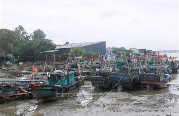 Các địa phương ven biển Quảng Ninh khẩn trương ứng phó bão số 1