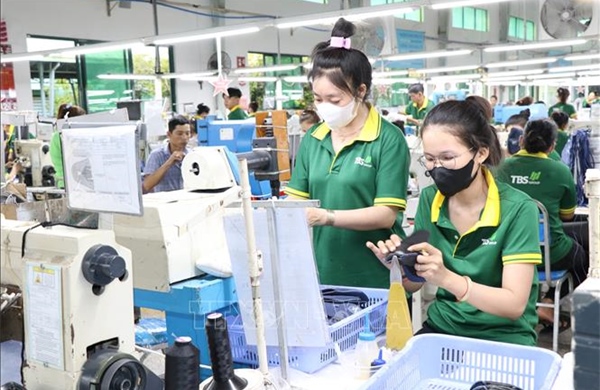 Các nguồn lực hỗ trợ doanh nghiệp, hộ kinh doanh thuộc Hệ sinh thái tận dụng các FTA