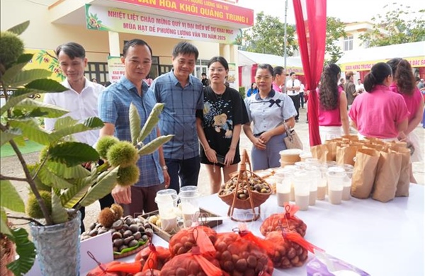 Lễ hội mùa hạt dẻ năm 2026 tại Lạng Sơn