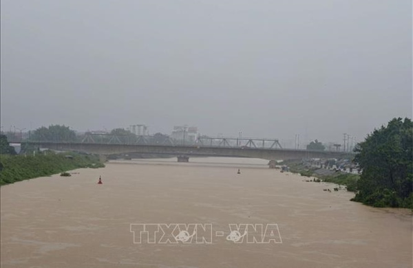 Cảnh báo lũ cao trên sông Lục Nam, sông Thương và sông Cửu Long