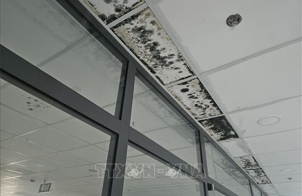 Khắc phục tình trạng thấm, dột tại dự án nâng cấp Bệnh viện Đa khoa Đắk Nông 