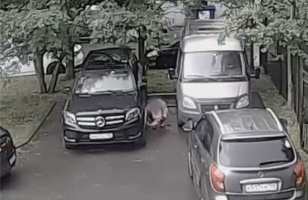 Video An ninh Nga bắt quả tang nữ nghi phạm cài bom ám sát theo lệnh từ phía Ukraine