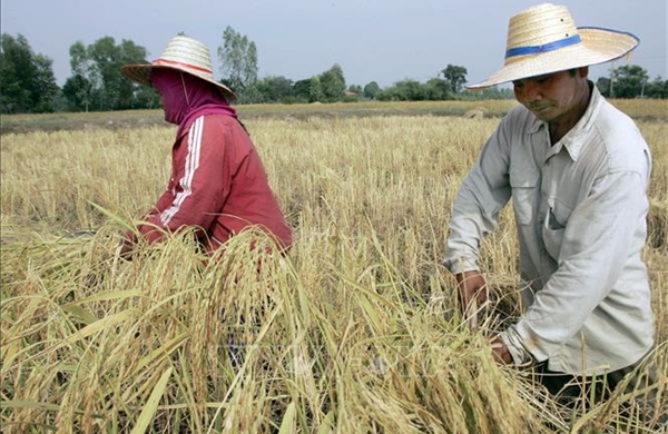 Thái Lan tăng cường ứng phó nguy cơ El Niño kéo dài