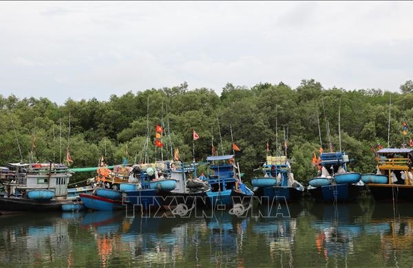 Nhiều tàu cá nằm bờ vì giấy phép khai thác mới