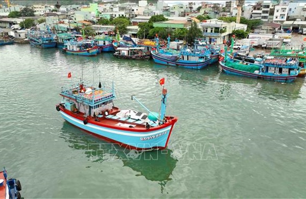 Cần Thơ: Hỗ trợ 100% cước phí thuê bao giám sát hành trình tàu cá