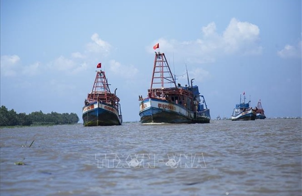 Kiên Giang ngăn chặn tàu cá khai thác hải sản bất hợp pháp