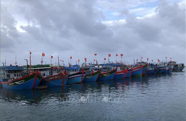Từ Quảng Ninh đến An Giang chủ động ứng phó với áp thấp nhiệt đới khả năng mạnh lên thành bão