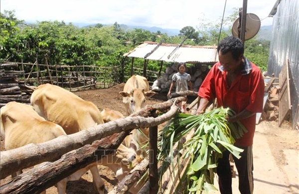 Gỡ điểm nghẽn, khơi thông nguồn lực nông thôn mới ở Tây Nguyên