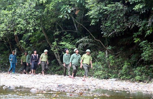 Giữ nguồn tài nguyên rừng quý giá - Bài 1: Phát triển sinh kế xanh