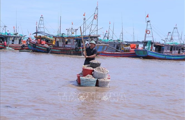 Khắc phục &#39;thẻ vàng&#39; IUU: Xử lý vi phạm về thiết bị giám sát hành trình tàu cá