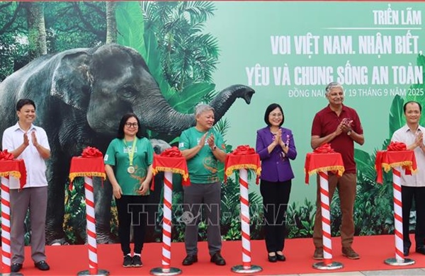 Khai mạc Tuần lễ Bảo tồn voi năm 2025