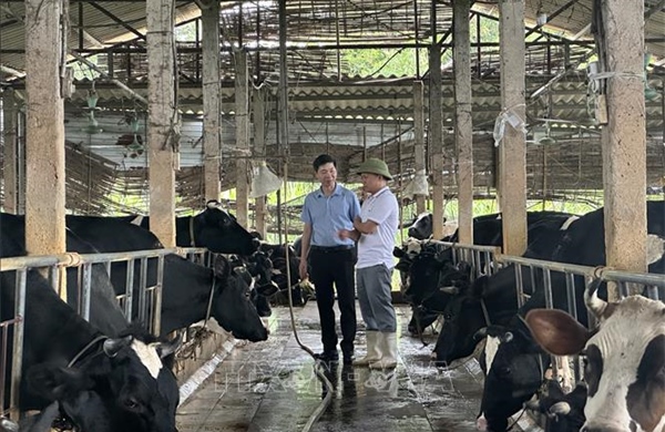 Nhà khoa học của nhà nông và khát vọng nâng tầm nông sản địa phương