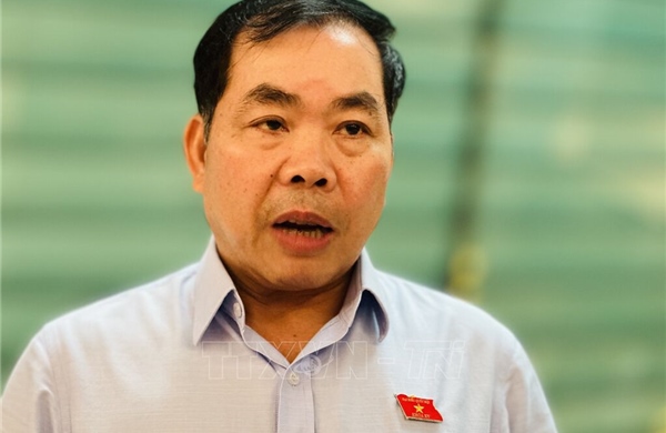 Cần thiết đưa bảo vệ môi trường thành trụ cột ngang hàng với kinh tế và xã hội