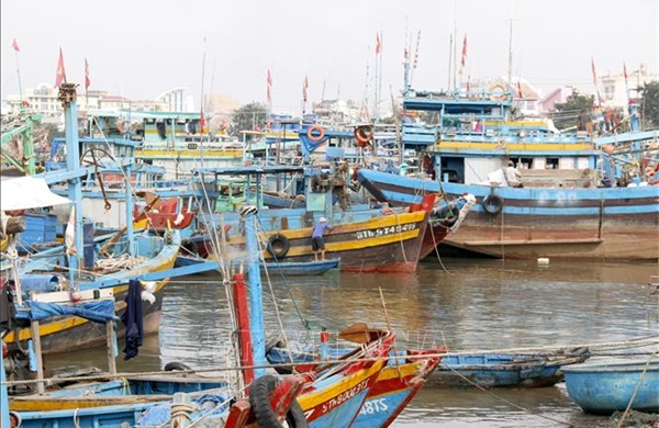 Lâm Đồng triển khai đồng loạt phương án ứng phó bão số 15