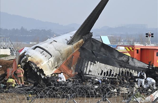 Hàn Quốc: Điều tra trách nhiệm của các cơ quan quản lý nhà nước trong thảm họa Jeju Air