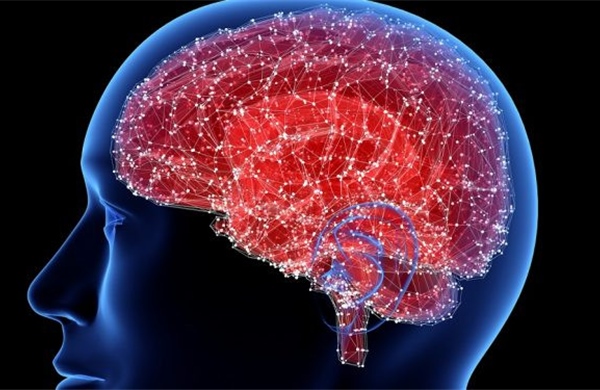 Nghiên cứu mới bác bỏ giả thuyết não bộ lão hóa nhanh hơn gây Alzheimer