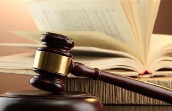 Thủ tướng ban hành Danh mục văn bản quy định chi tiết thi hành Luật Phục hồi, phá sản