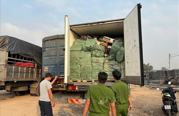 Tạm giữ hơn 28,8 tấn thực phẩm đông lạnh không rõ nguồn gốc