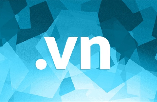 Hiện diện số với tên miền '.vn' thực chất và bền vững