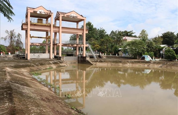 Nguy cơ triều cường vượt báo động 3, Đồng Tháp khẩn trương chống ngập, mặn