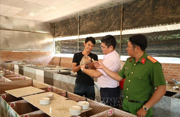 Vốn chính sách tiếp sức người hoàn lương vươn lên làm kinh tế