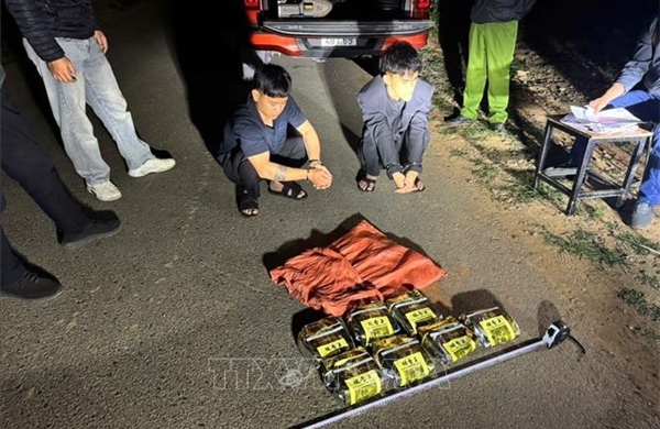 Triệt phá đường dây vận chuyển số lượng lớn ma túy lớn 