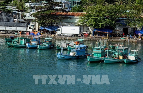 Quyết liệt hành động theo khuyến nghị của EC