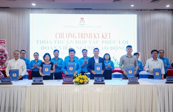 Tiêu chuẩn bữa ăn ca chưa được đưa vào thỏa ước lao động tập thể