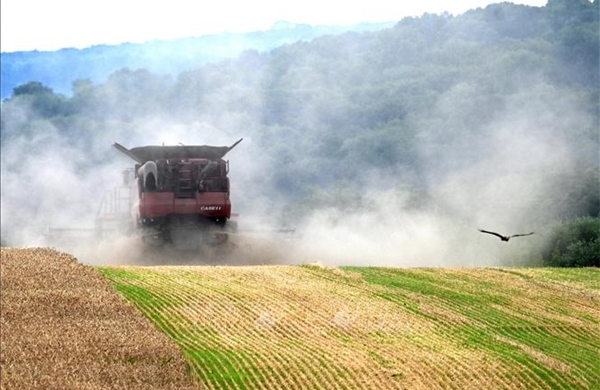 Xung đột tại Trung Đông: EU giải ngân thêm khoảng 350 triệu USD cứu trợ nông dân