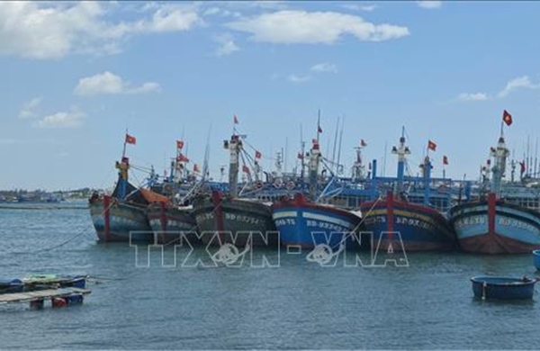 Gia Lai tăng tốc tái cơ cấu đội tàu khai thác thủy sản
