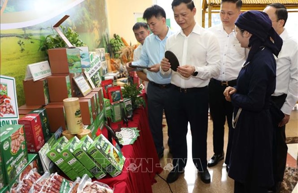 Trao giấy chứng nhận đầu tư các dự án khu vực phía Bắc tỉnh Thái Nguyên