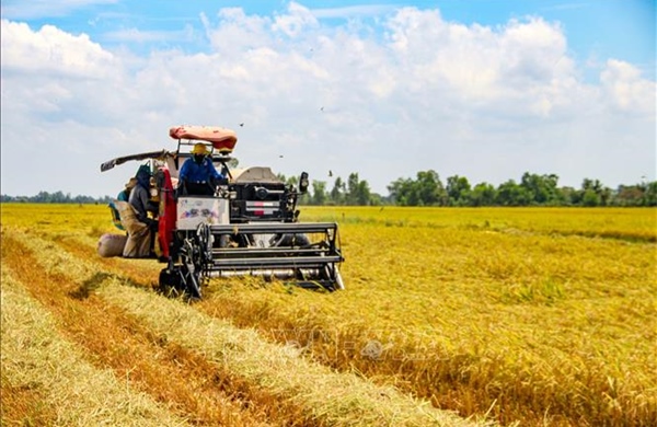 Hướng tới xây dựng người nông dân làm chủ chuyển đổi số