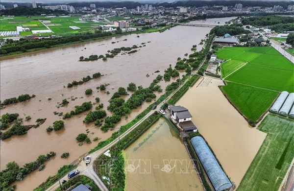Mưa lớn gây ngập lụt nghiêm trọng tại phía Đông Hàn Quốc