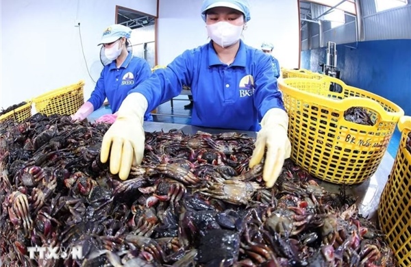 Mở thêm không gian để kinh tế tư nhân bứt phá