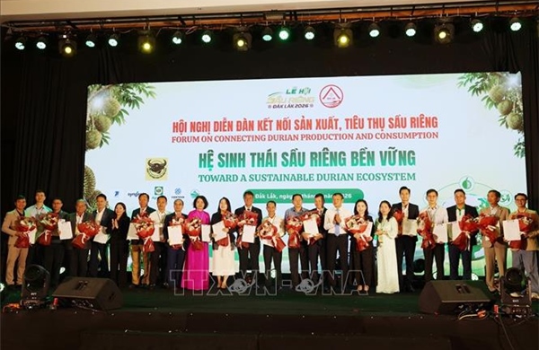 Kết nối sản xuất, tiêu thụ, xây dựng hệ sinh thái sầu riêng bền vững