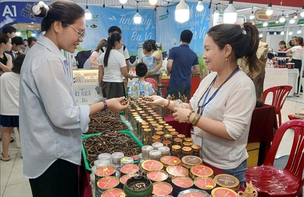 Đà Nẵng: Xây dựng năng lực xuất khẩu trực tuyến