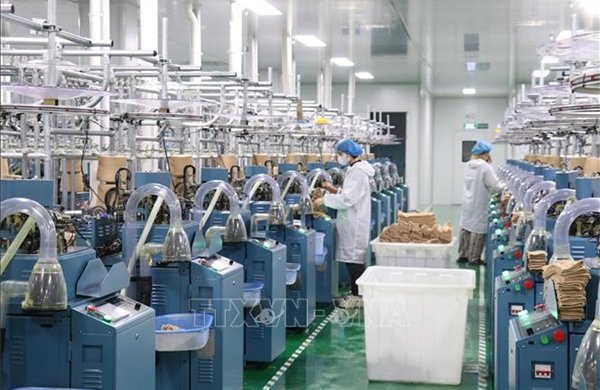 Nghị quyết số 10-NQ/TW: Động lực 'hút' FDI vào kinh tế xanh