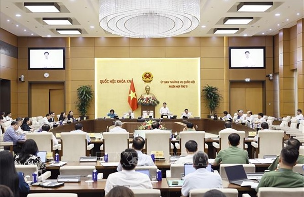 UBTV Quốc hội cho ý kiến về Bộ luật Hình sự (sửa đổi), Luật Tổ chức cơ quan điều tra hình sự (sửa đổi)